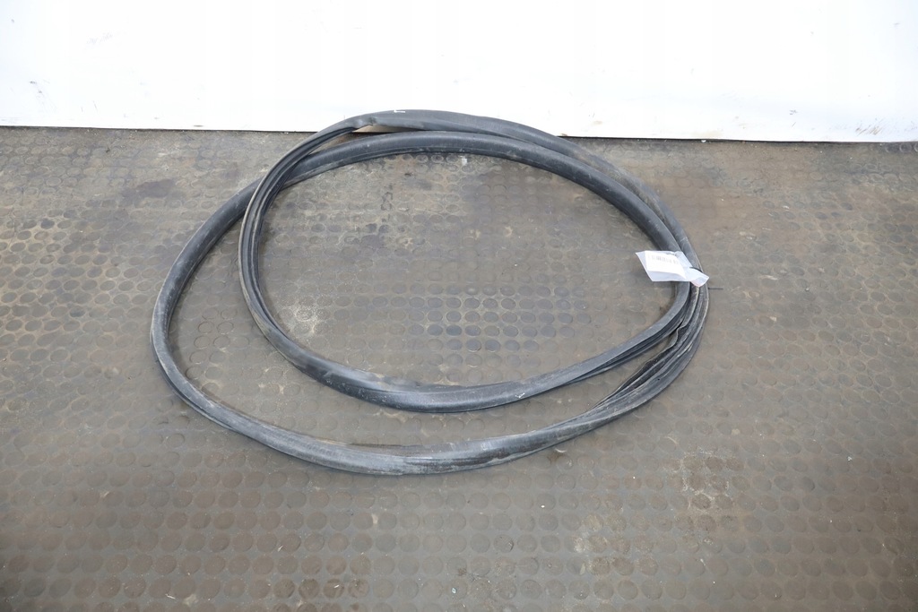 фото №1, Прокладка двері ліва передня renault t 460 e6