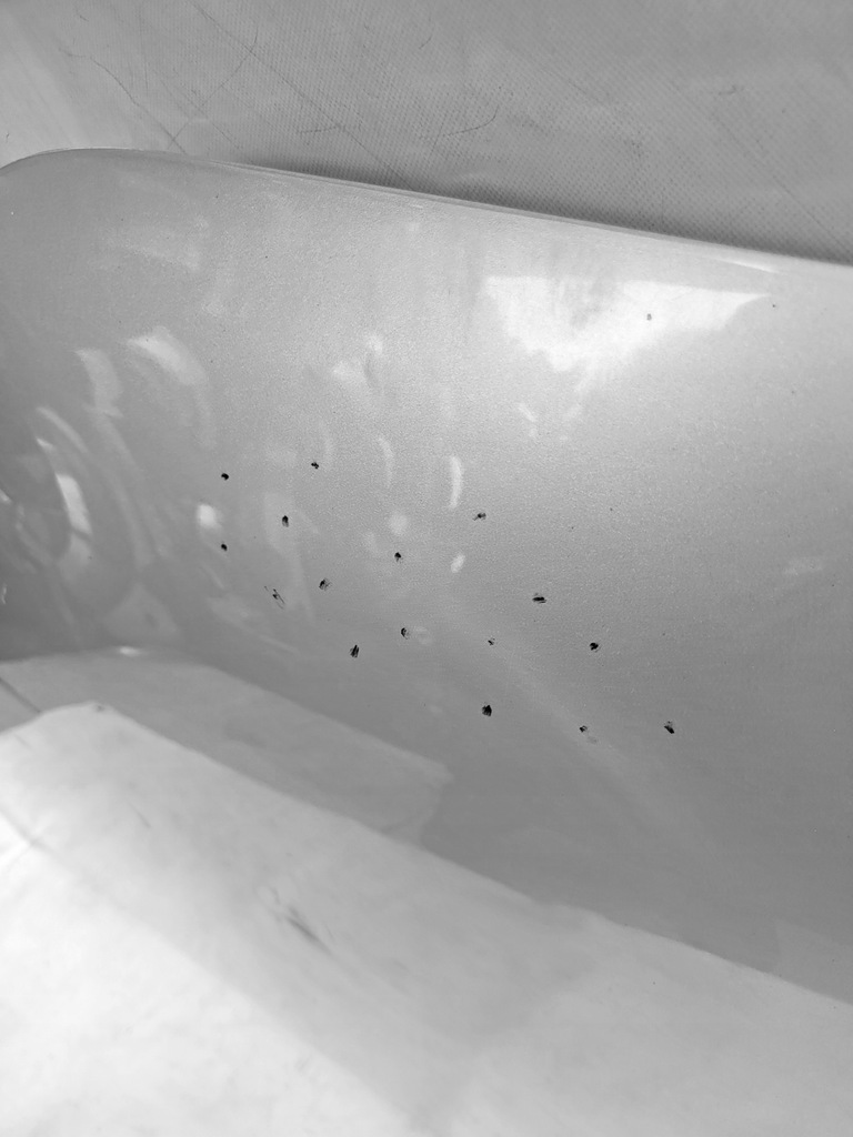 фото №5, Капот toyota verso 2009-2018