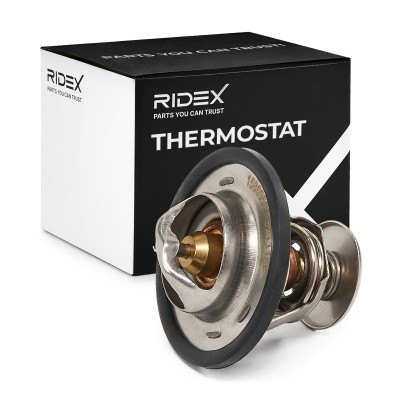 фото №4, Термостат ridex 316t0543