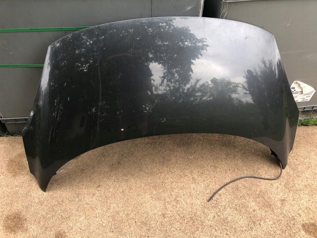 фото №1, Капот scenic iii ted66