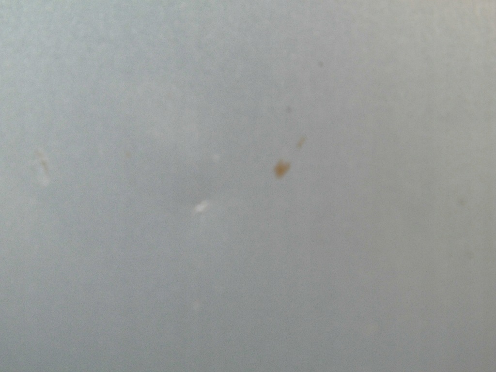 фото №13, Двері vw tiguan 5n ліва передні сірі lr7l