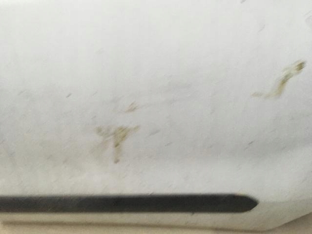 фото №11, Дверь сдвижные левая fiat doblo opel combo