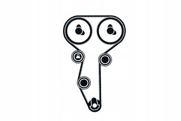 фото №13, Комплект - набір ремінь розподільного валу [skf]