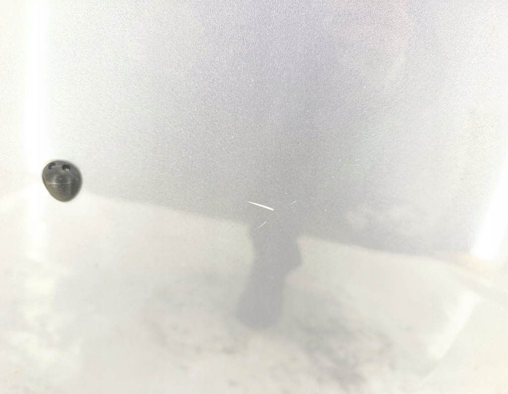 фото №4, Капот renault clio iii tej47