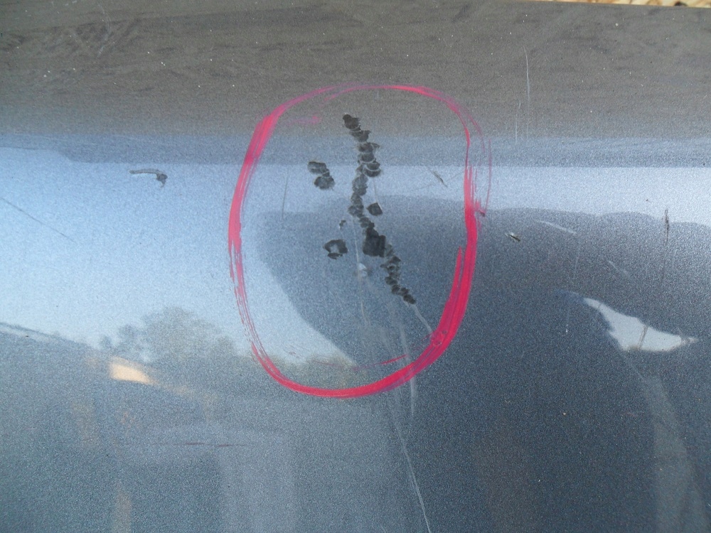 фото №8, Honda crv rd 2001- крила правий