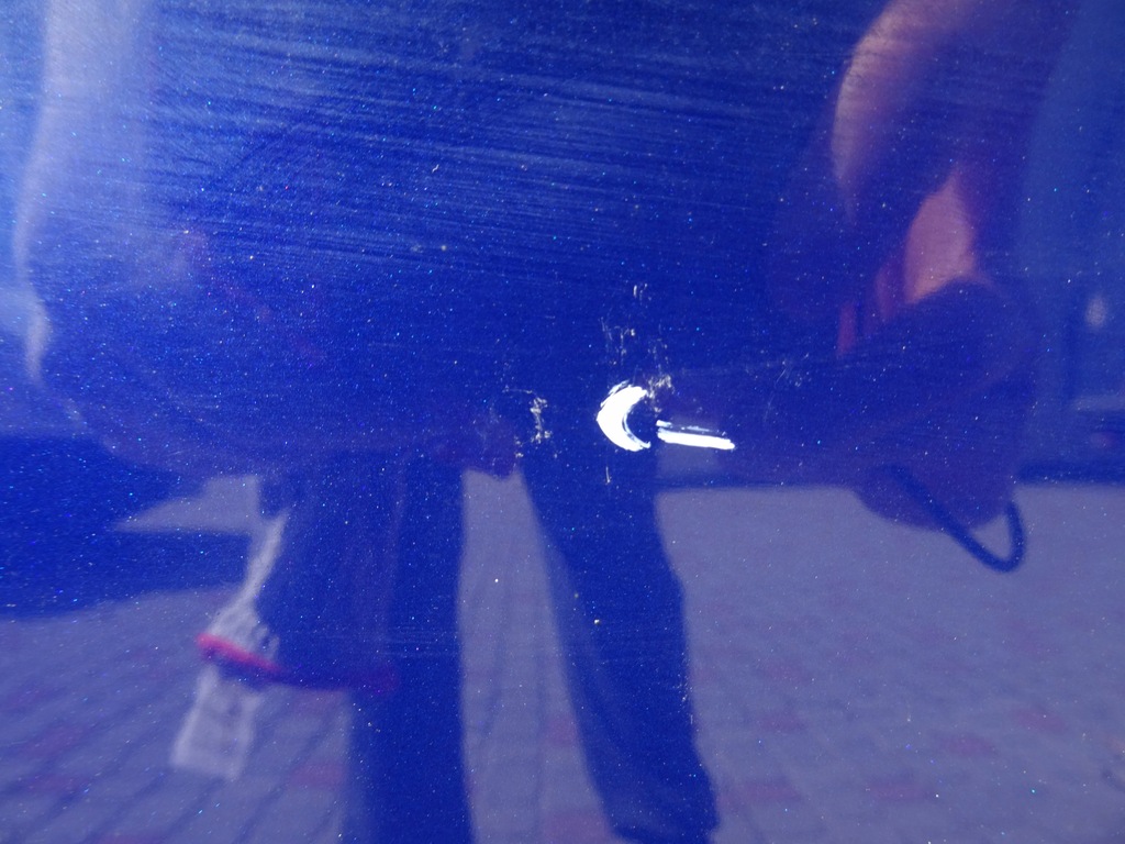 фото №2, Ford kuga mk2 2012-2020r двері праве задня