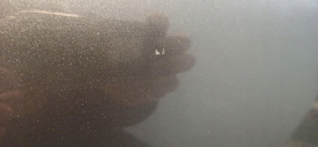 фото №7, Audi q5 дверь правый перед lz7s