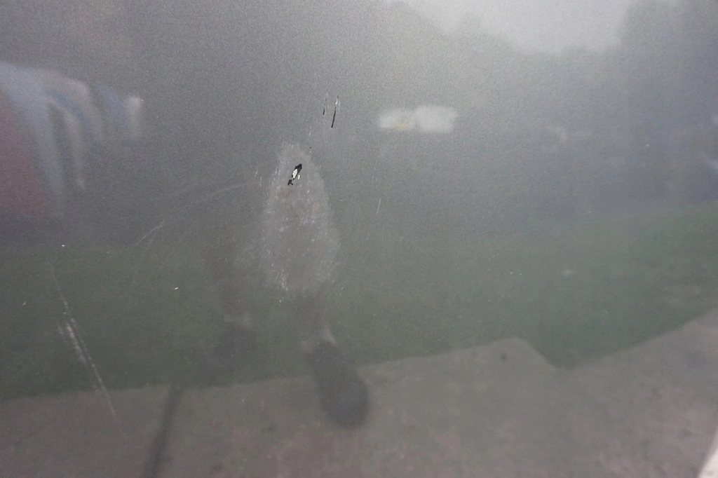 фото №11, Бампер капот крила kompletny перед vw passat b6