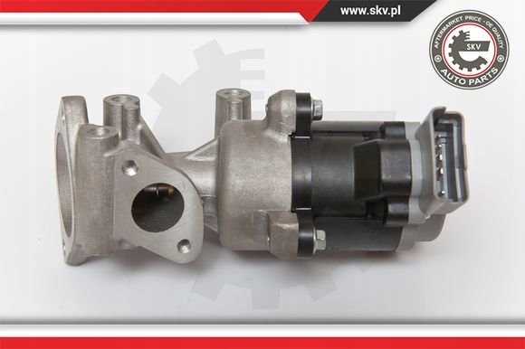 фото №1, Skv клапан egr citroën c5 iii 14skv066
