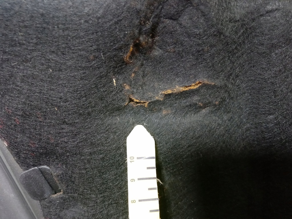 фото №9, Porsche cayenne i капот передня d7z