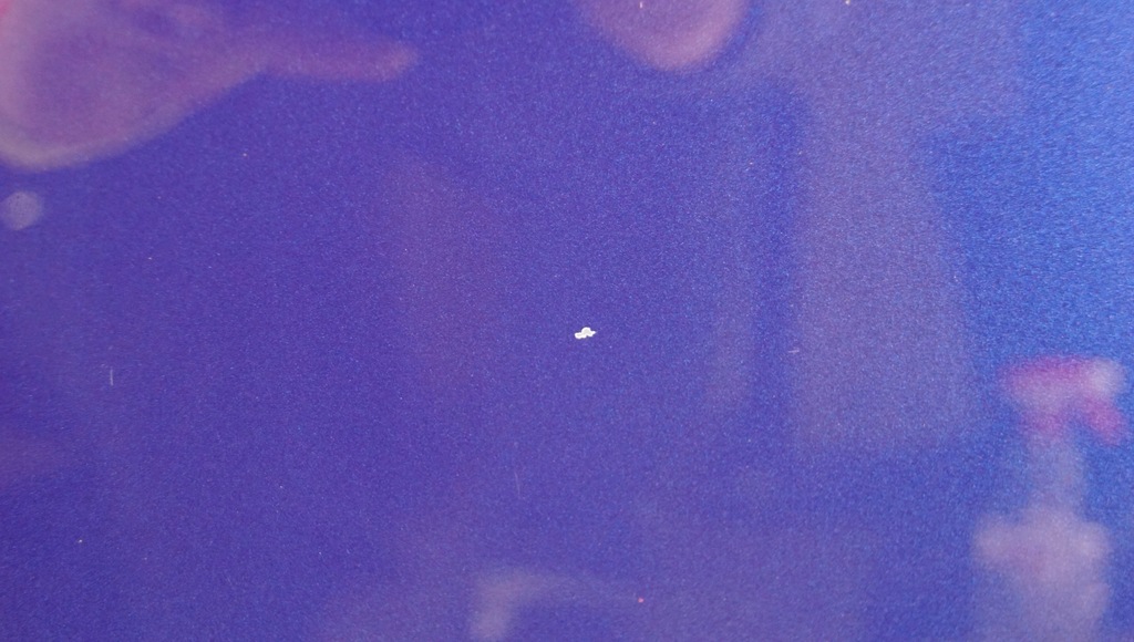 фото №13, Дверь правый перед kia proceed pro ceed