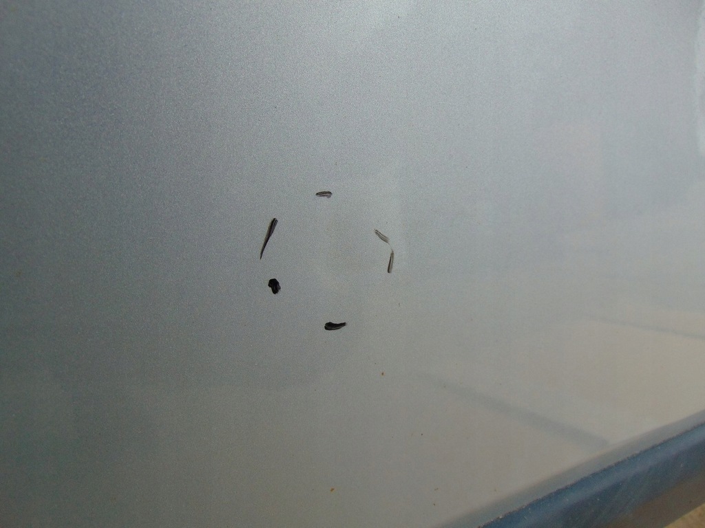 фото №8, Дверь правый перед citroen nemo серебристый