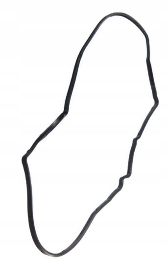 фото №8, Elring 691.910 прокладка, кришка головки циліндрів
