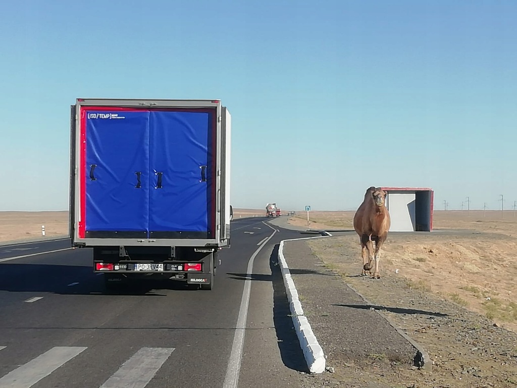 фото №10, Isotemp - перегородка теплова 80 mt - стіна перегородкова