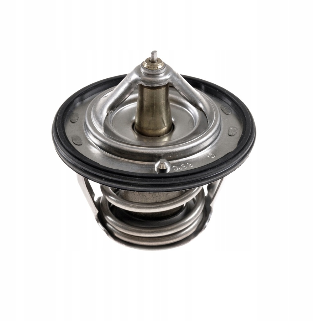 фото №15, Термостат [blue print]