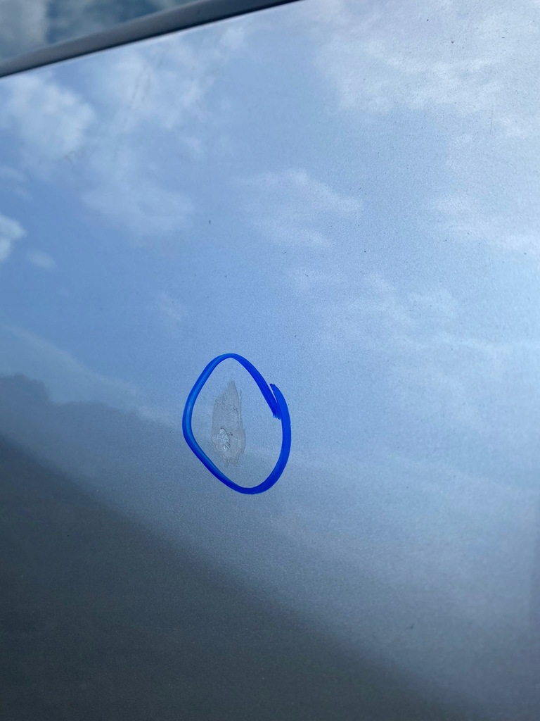 фото №5, Grandis двері правий задня задні