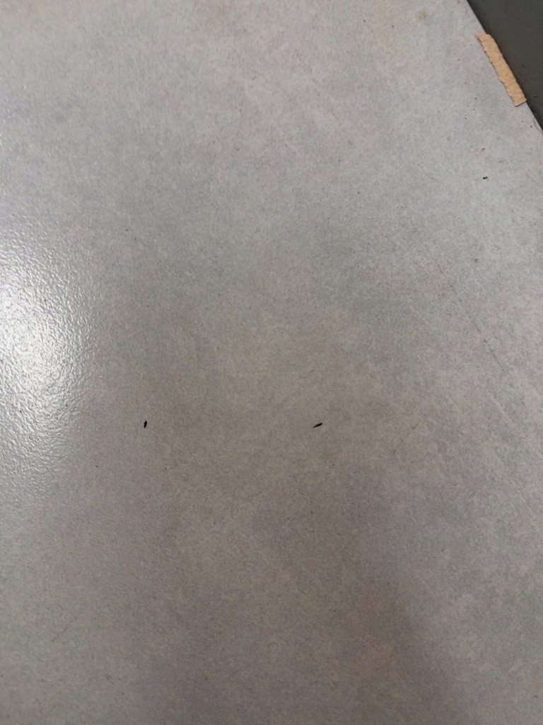 фото №9, Pas безпеки правий задня touran i fl 1.9 tdi