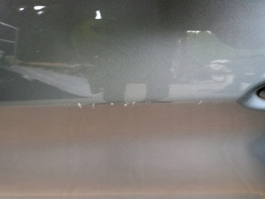 фото №4, Alfa romeo stelvio дверь передние перед левая