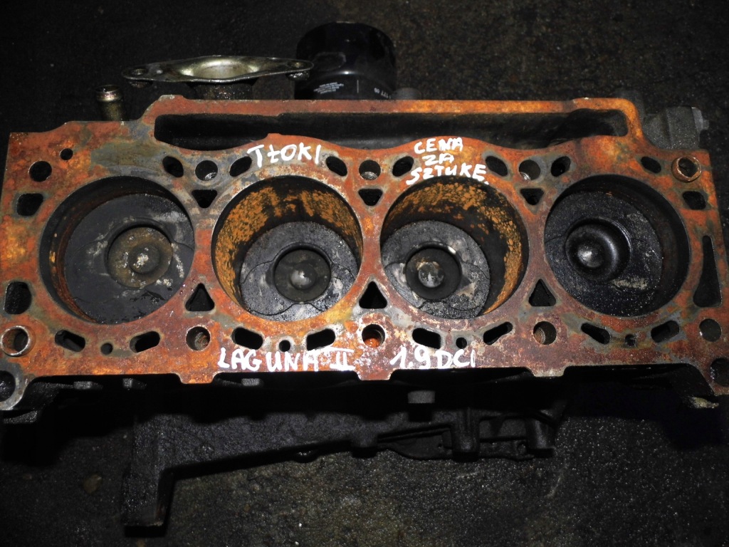 фото №3, Laguna ii 1.9dci поршни