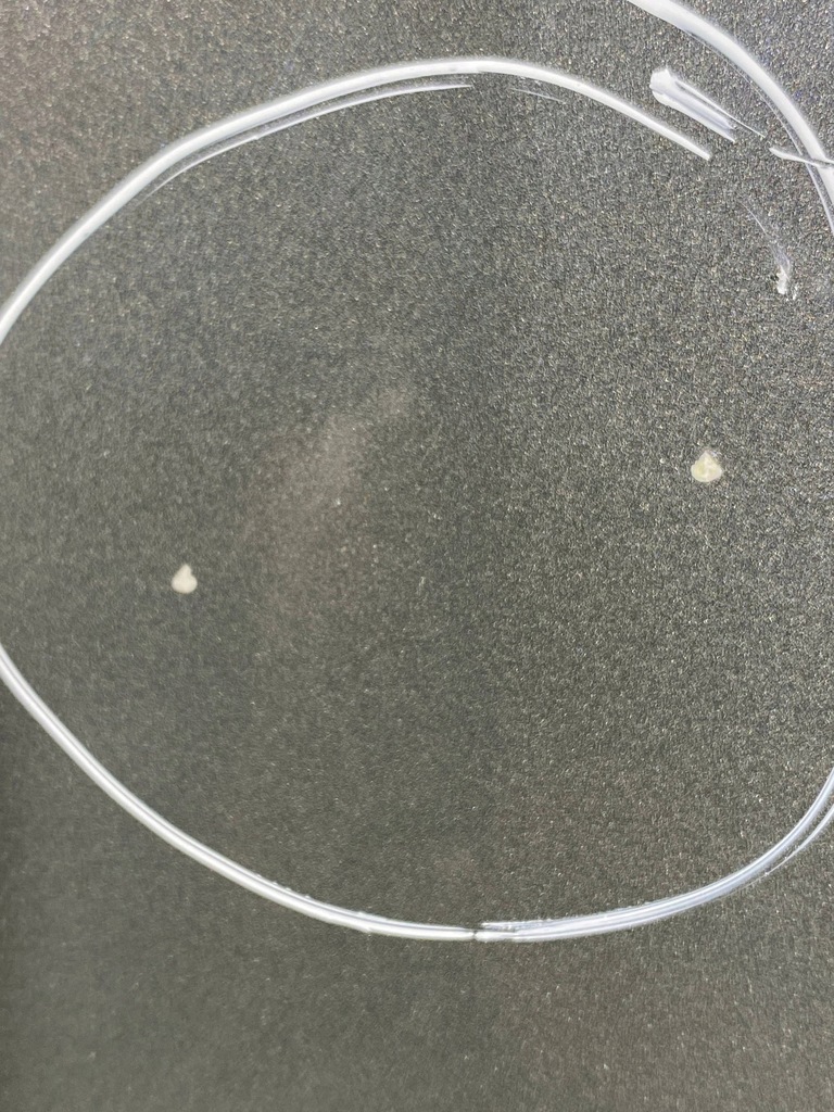 фото №10, Audi q8 e-tron кришка передня / капот двигуна