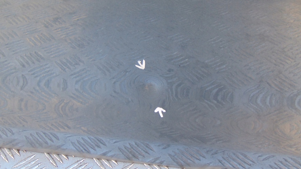 фото №7, Citroen c4 grand picasso дверь правый левый перед передние правое ezwd