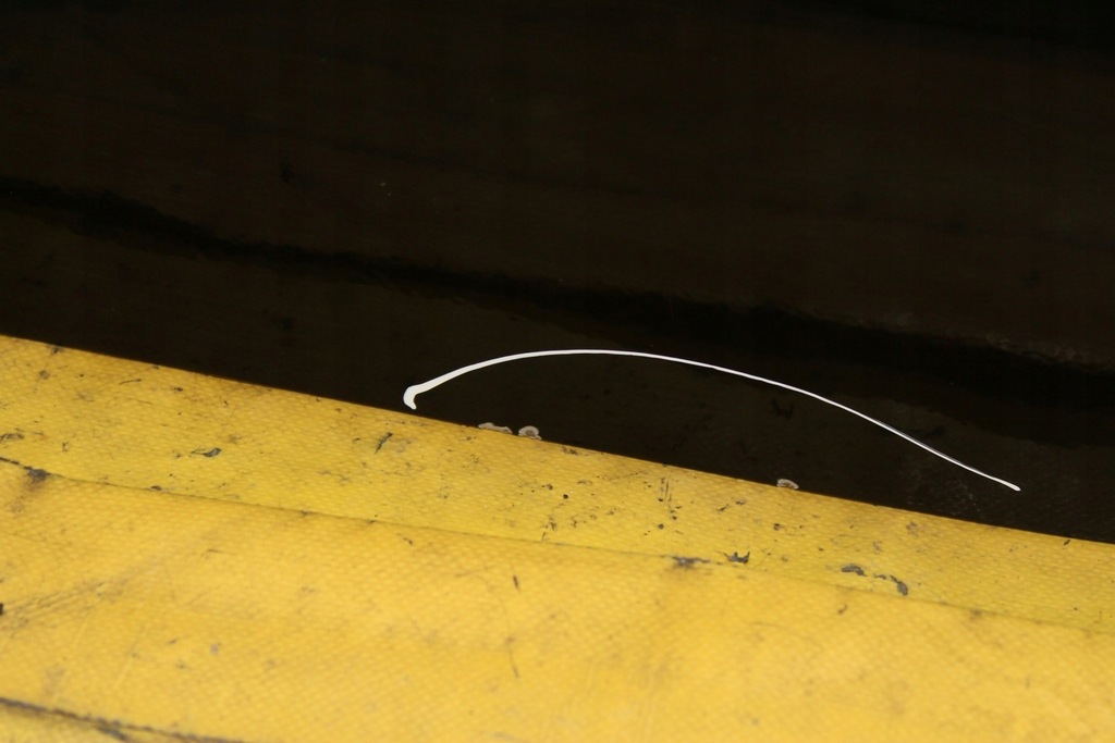 фото №9, Дверь сдвижные левый задняя kia sedona ii carnival