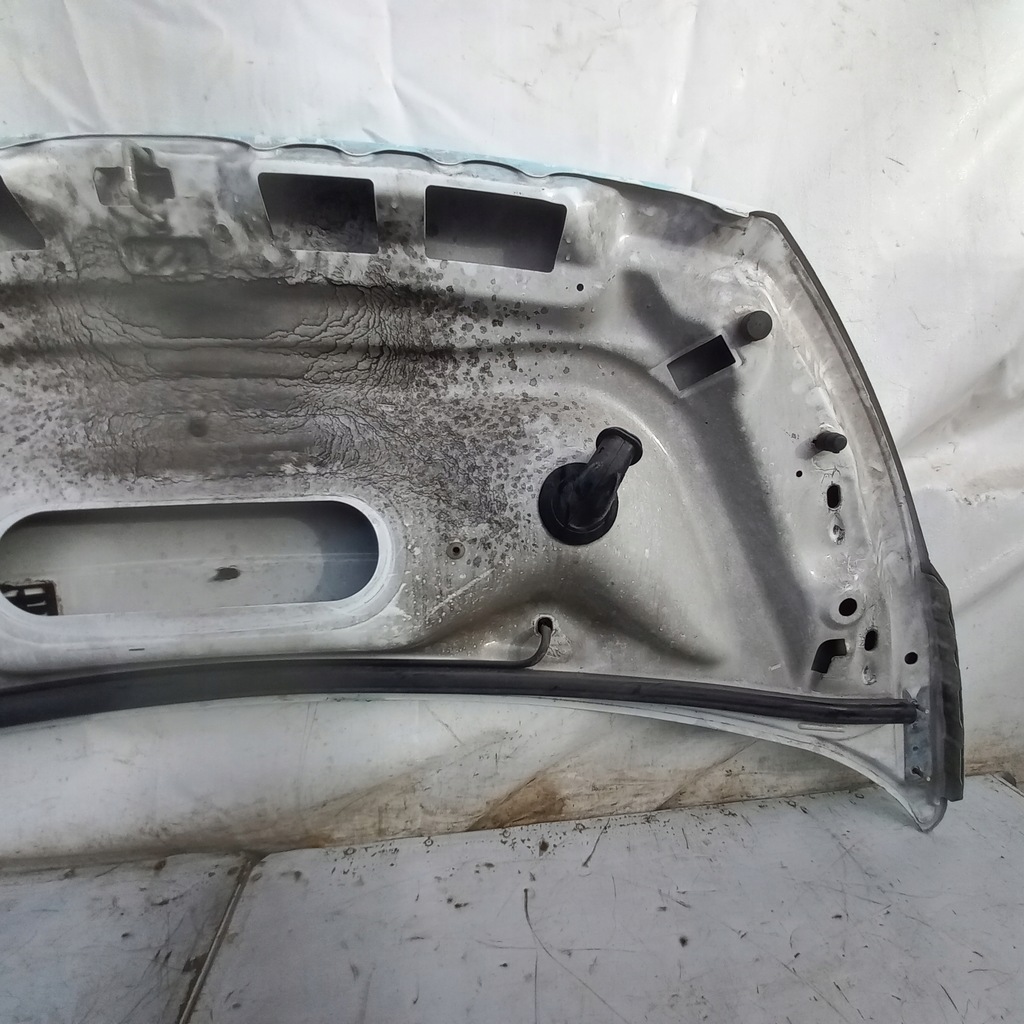 фото №14, Scudo jumpy expert 07- капот перед кришка двигуна