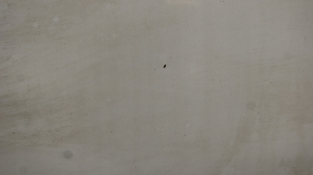 Капот renault master 3 389 Зі Шроту