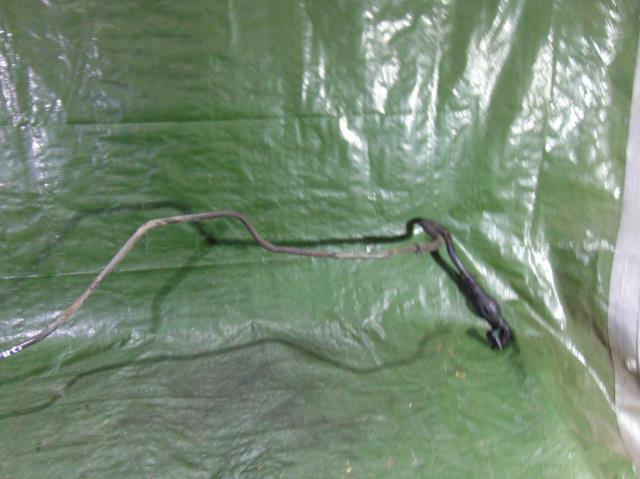 фото №3, Шланг пального ssang yong kyron 2.0 xdi