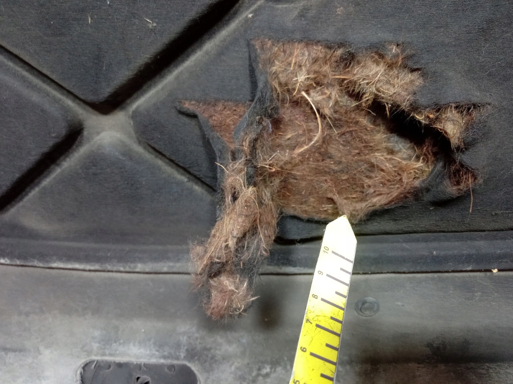 фото №16, Peugeot 607 капот крышка двигателя exl