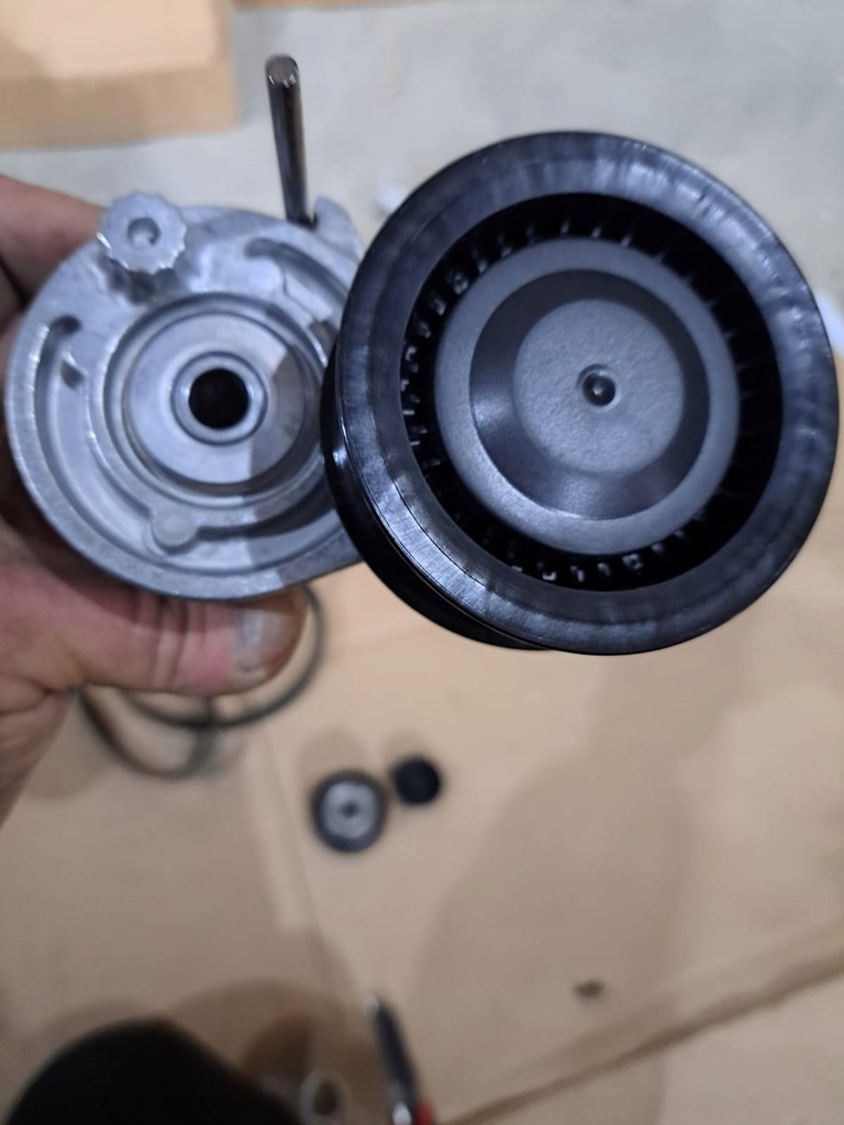 фото №5, Набір ремінь клиновий renault twingo iii 117203942r