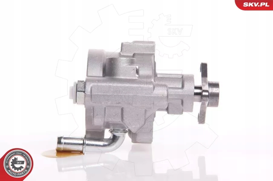 Насос гідропідсилювача. renault/volvo 1.9d Доставка