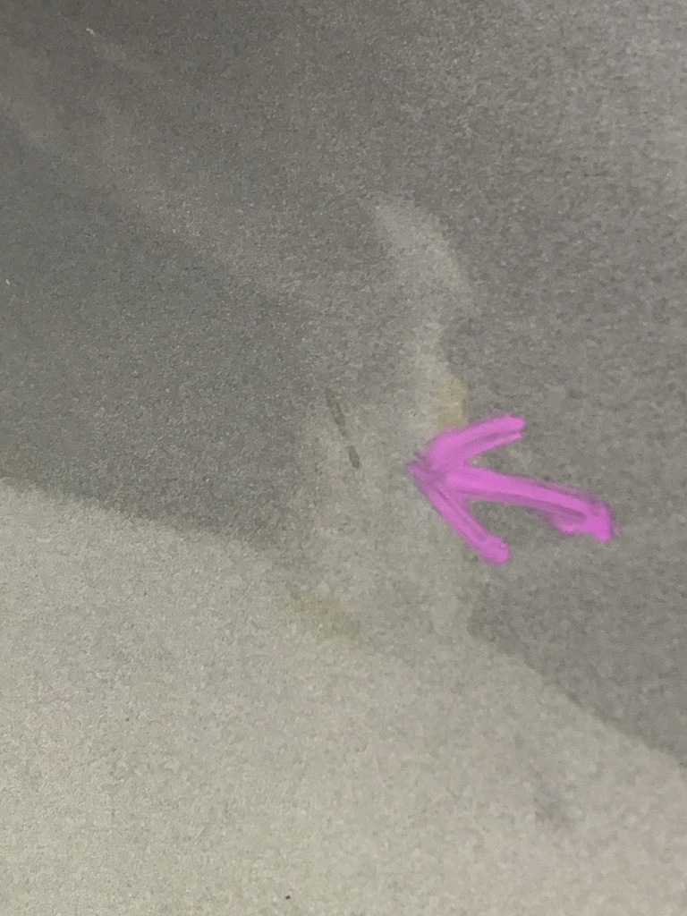 фото №6, Крыло правый перед правый передний bmw x3 f25 2.0 d цвет a52