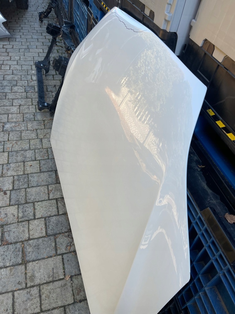 фото №8, Tesla x plaid капот