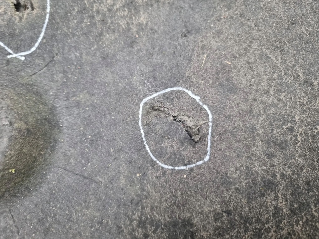 фото №8, Захист підвіска права 7059390 bmw 1 e87 e81 e82