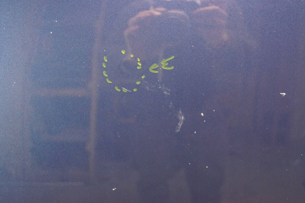 фото №5, Капот крышка двигателя opel corsa d z22a