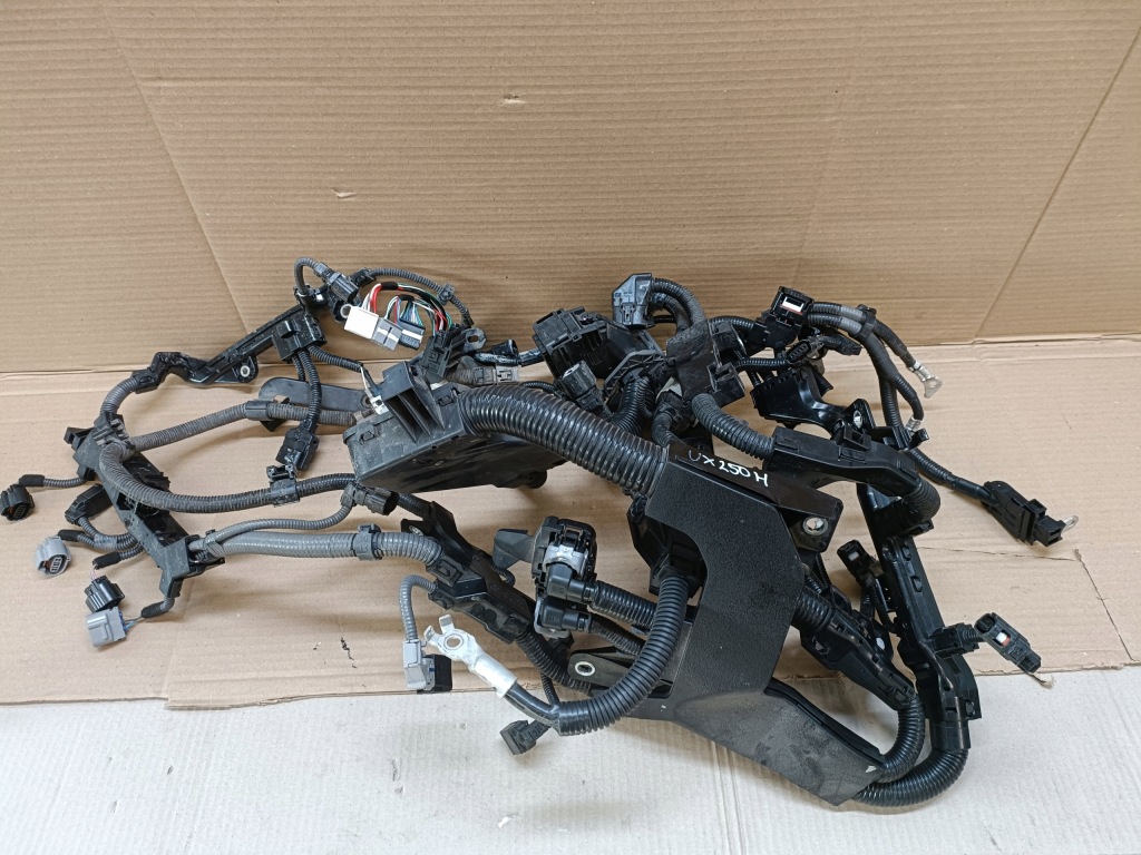 фото №1, Lexus ux 250 електропроводка двигуна