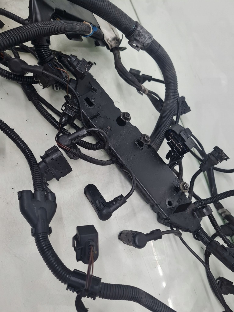 фото №9, 2009 bmw 7 e65 e66 жгут двигателя 7789224