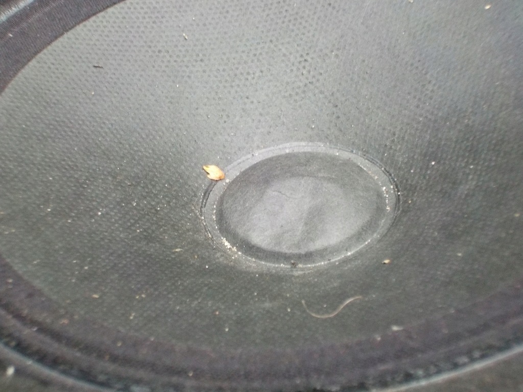 фото №8, Kia ceed ii kombi подъемник стекло динамик левый задняя