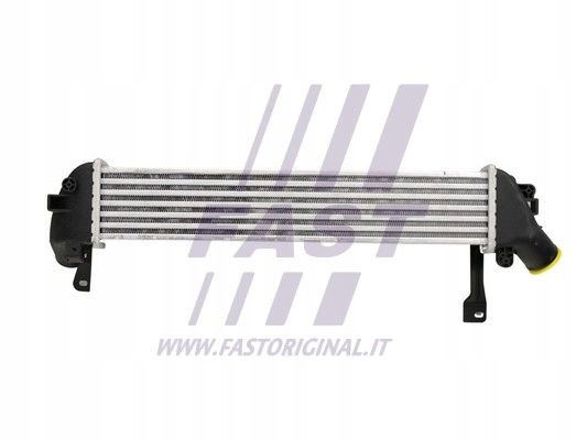 Fast інтеркулер renault kangoo 98 1.5 dci Київ