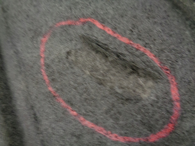 фото №10, Toyota c-hr chr защита pod двигатель