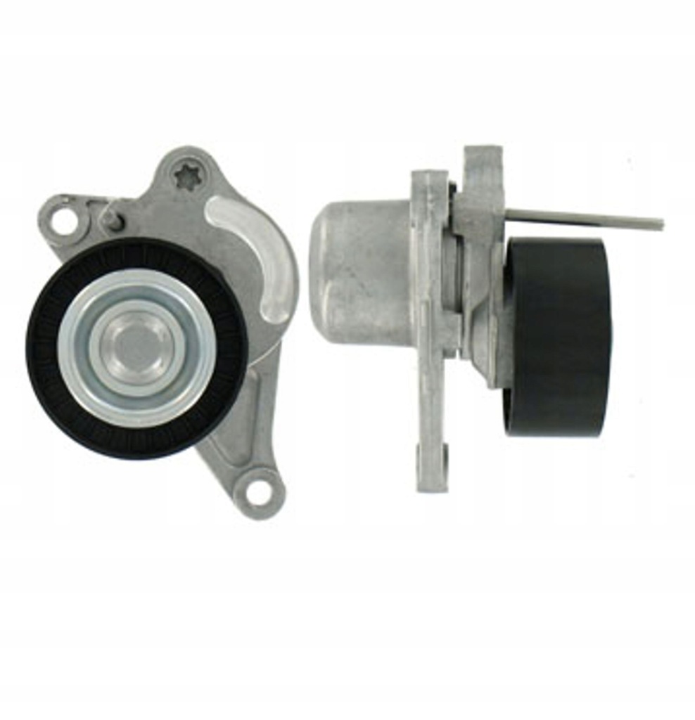 Натягувач ремінь багаторучейковий nissan nv400, primastar, qashqai i, x-trail в Україні