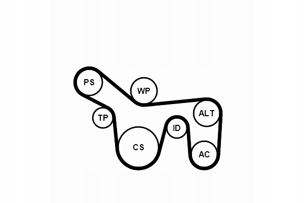 фото №2, Набор ремни многоручейковых с ролики ford focus i tourneo connect