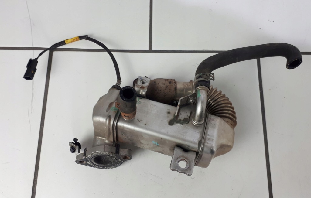 фото №1, Scenic iii 3 1,6dci радиатор выхлопных газов 147350264r