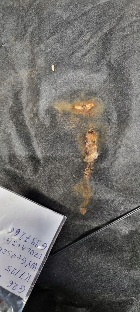 фото №8, Bmw g26 i4 шумоізоляція ізоляція акустична 6997266