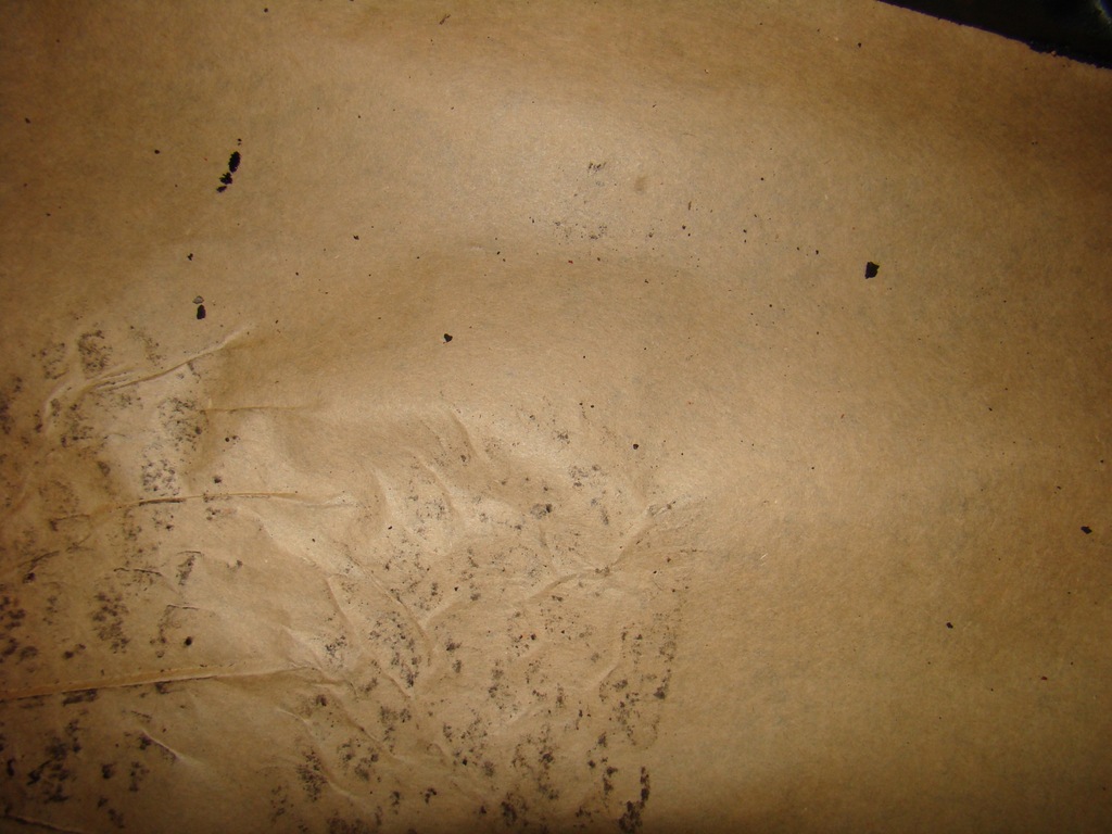 фото №14, Блок двигуна ducato iveco canter fuso 3.0 euro 4 502295008