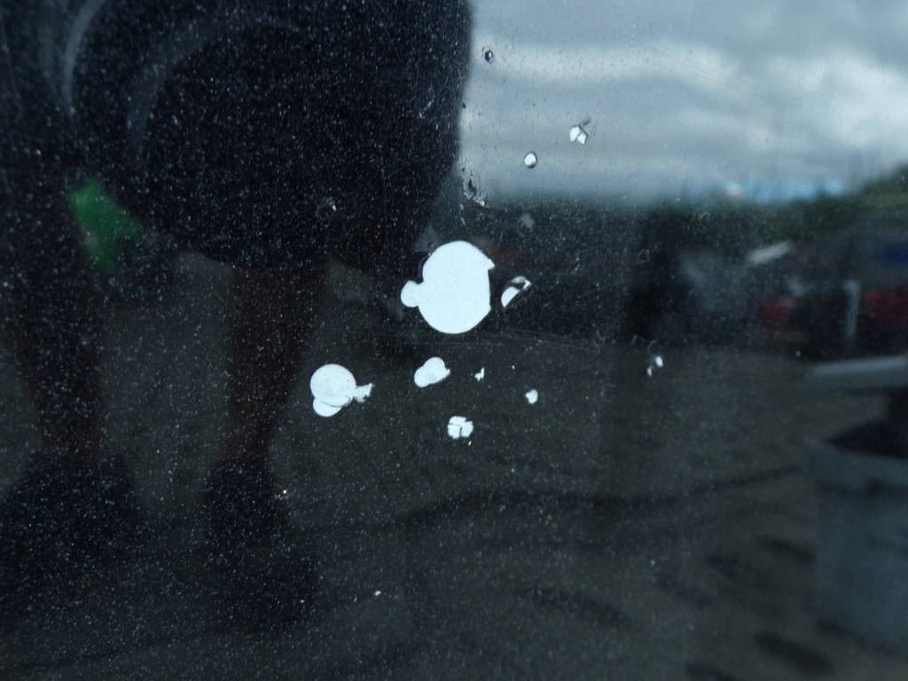 фото №7, Капот крышка двигателя audi a6 c5 lift 2