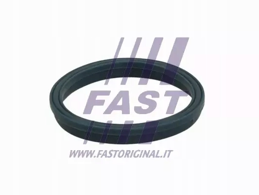 фото №2, Fast ft49407 прокладка, коллектор впускной