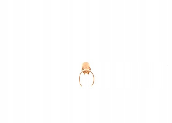 фото №2, Штекер свечи 8780499002 bosch