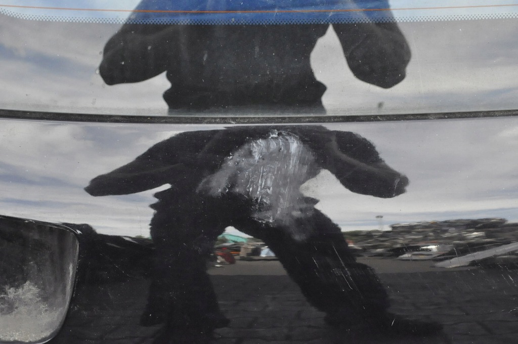 фото №7, Citroen c4 picasso ii крышка багажника багажника задняя задняя